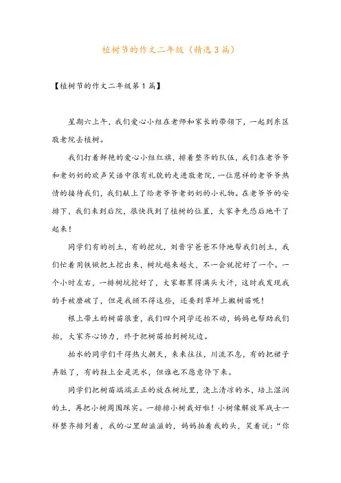 植树节的作文二年级(精选3篇)