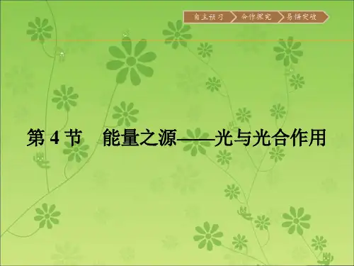 【金牌学案】人教版2015-2016学年高中生物必修一同步教学资料课件 5.4.1  能量之源——光与光和作用