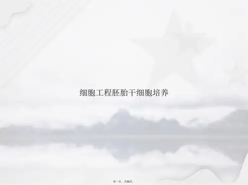 细胞工程胚胎干细胞培养2讲课文档