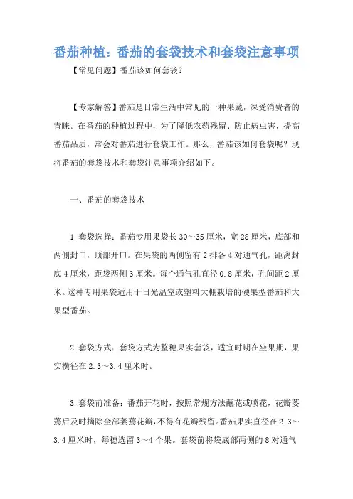 番茄种植：番茄的套袋技术和套袋注意事项