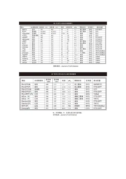 常用荧光染料探针列表
