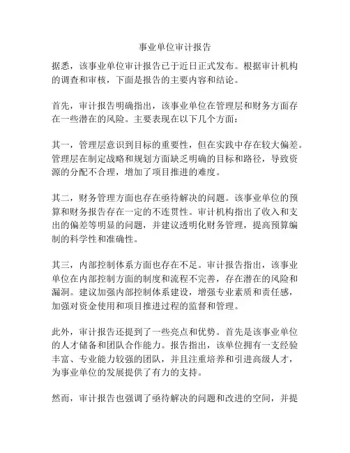 事业单位审计报告