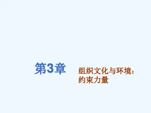 第03章组织文化与环境：约束力量