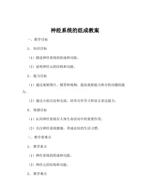 神经系统的组成教案