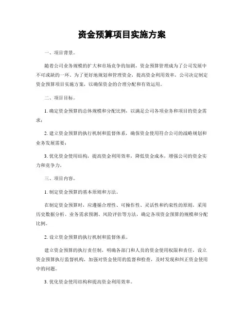 资金预算项目实施方案