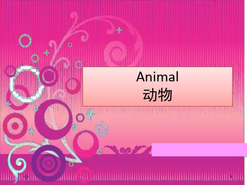 少儿初级英语教案动物篇(课堂PPT)