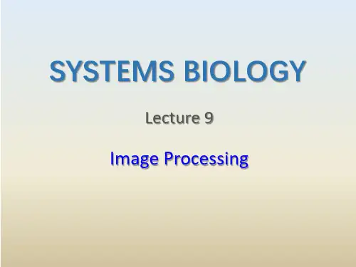 生物图片数据处理教程1——ImageJ