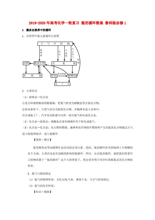 2019-2020年高考化学一轮复习 氮的循环教案 鲁科版必修1