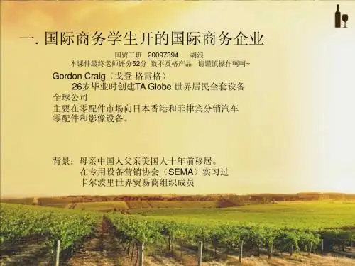 国际商务管理案例分析