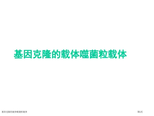 基因克隆的载体噬菌粒载体