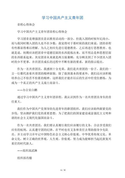 学习中国共产主义青年团章程心得体会