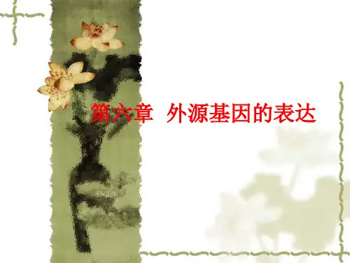 外源基因的表达