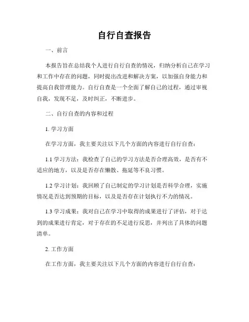 自行自查报告