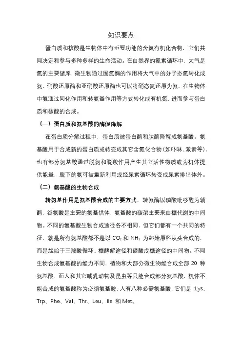 氨基酸和核苷酸代谢知识要点