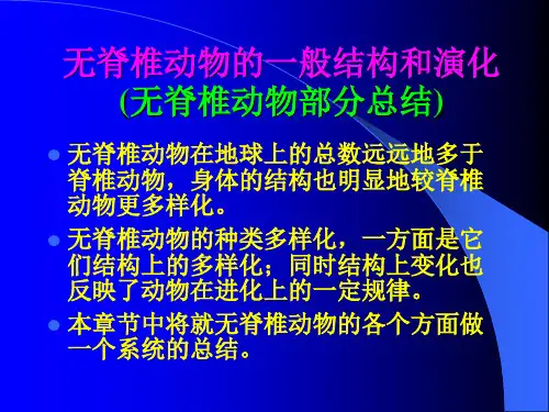无脊椎动物结构和演化