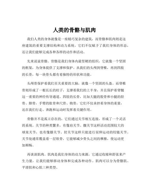 人类的骨骼与肌肉