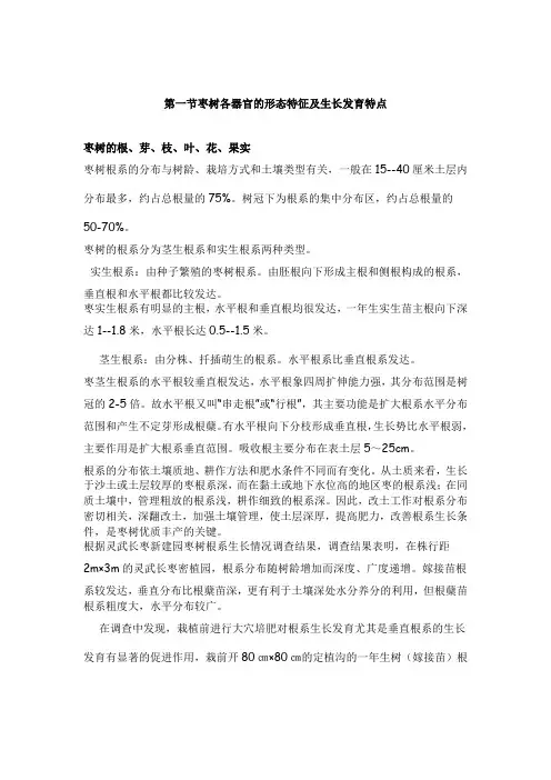 枣树简介