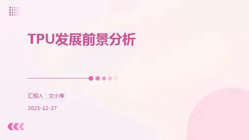 TPU发展前景分析