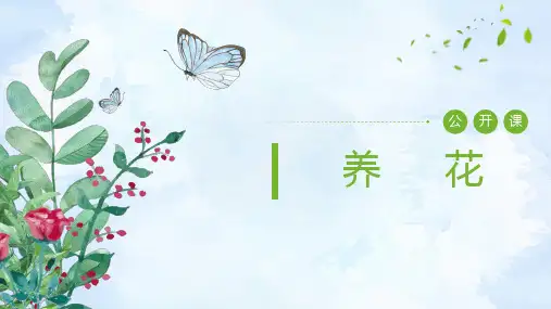 《养花 》【公开课教学PPT课件】