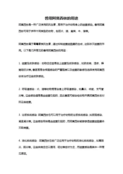 兽用阿莫西林的用途