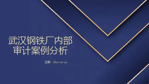 武汉钢铁厂内部审计案例分析