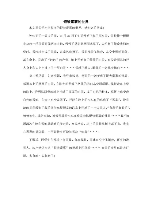银装素裹的世界_小学作文