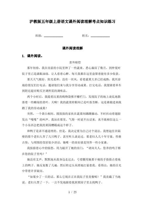 沪教版五年级上册语文课外阅读理解考点知识练习