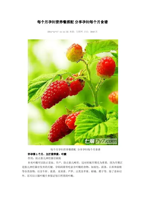 每个月孕妇营养餐搭配_分享孕妇每个月食谱
