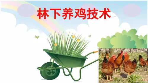 林地养鸡技术培训课件(145页)