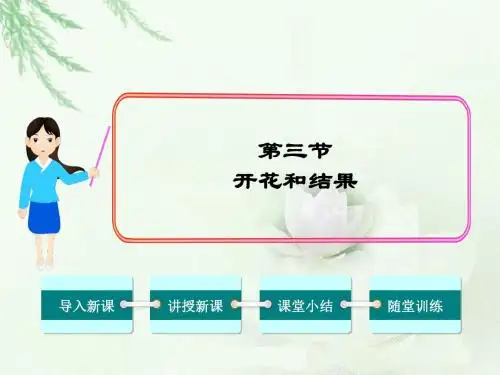 人教版 开花和结果PPT课件1