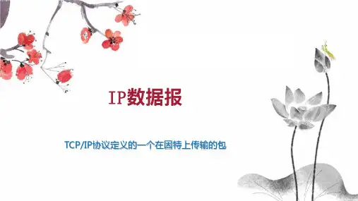 IP数据报 