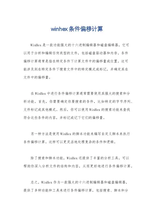 winhex条件偏移计算