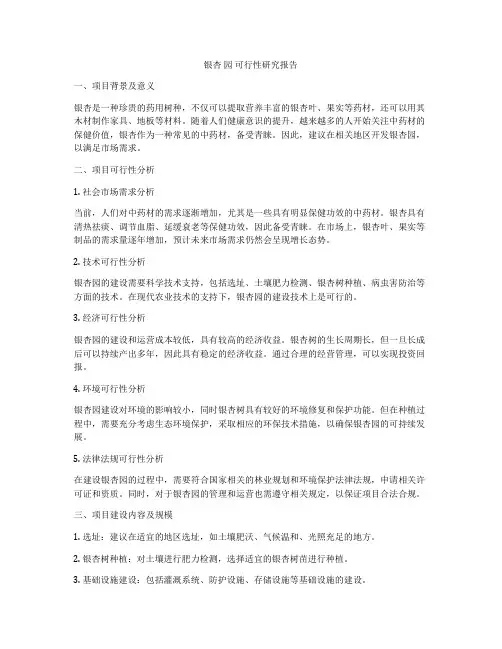 银杏 园 可行性研究报告