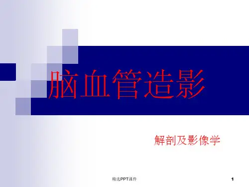 脑血管造影(解剖及影像表现)ppt课件