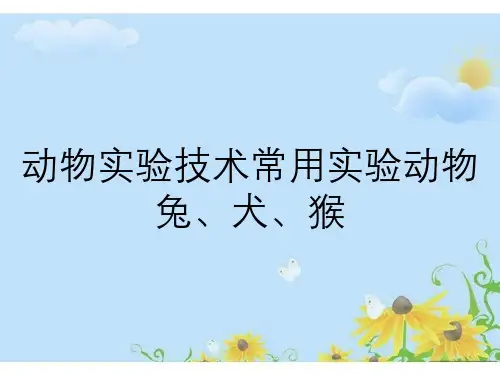 动物实验技术常用实验动物兔、犬、猴