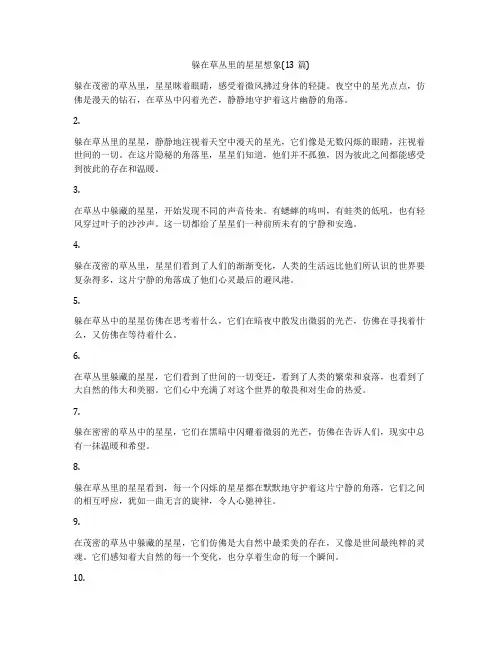 躲在草丛里的星星想象(13篇)