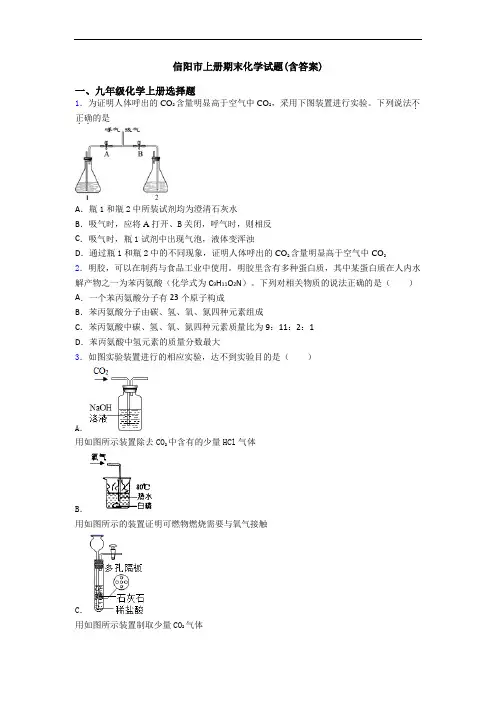 信阳市初三化学上册期末化学试题(含答案)