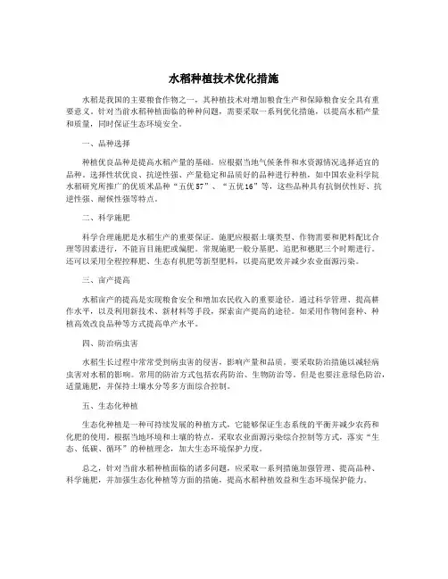 水稻种植技术优化措施