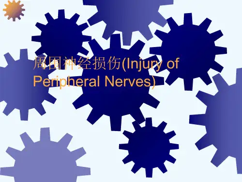 周围神经损伤(Injury of Peripheral Nerves)[可修改版ppt]