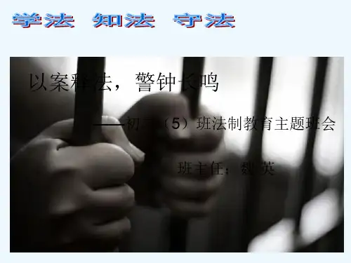 法制教育主题班会初二班魏英