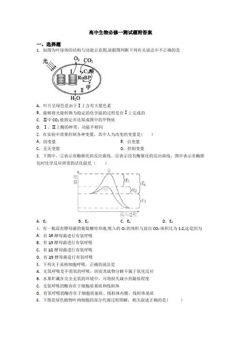 高中生物必修一测试题附答案