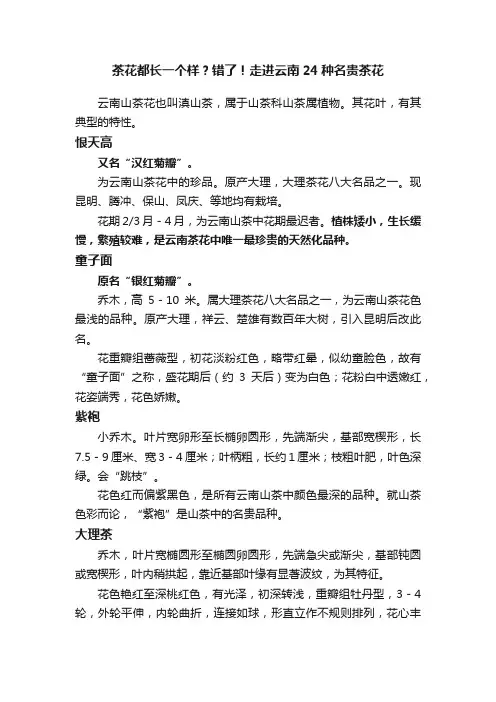 茶花都长一个样？错了！走进云南24种名贵茶花