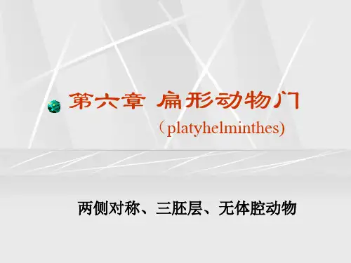 第六章 扁形动物门
