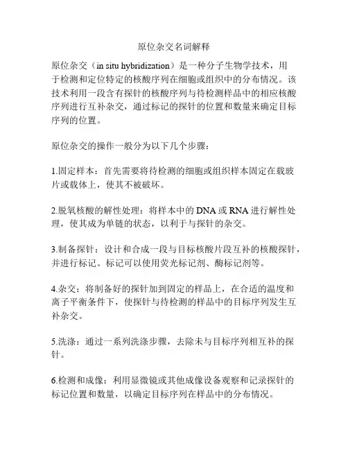 原位杂交名词解释