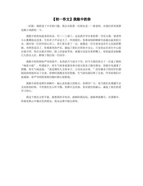 【初一作文】我眼中的你