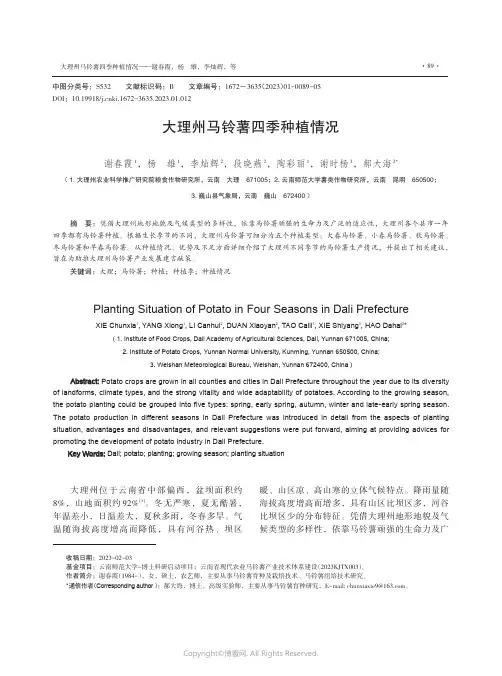 大理州马铃薯四季种植情况