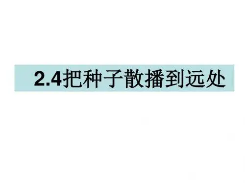 四年级下册科学课件-2.4把种子散播到远处 教科版(共23张PPT)