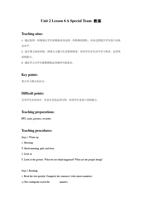 Unit 2 Lesson 6 A Special Team 教案