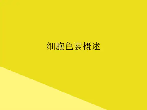 细胞色素概述PPT资料(正式版)