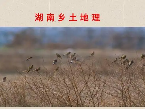 湘教版地理中考复习32_33_湖南地方文化常识